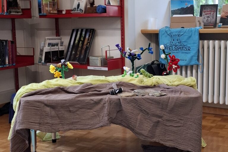 27. Mai 2026 Schweizer Vorlesetag in der Gemeindebibliothek Schänis
